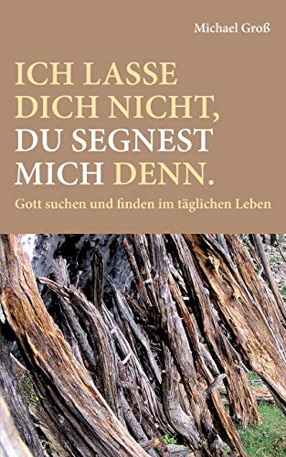 Ich lasse dich nicht, du segnest mich denn.: Gott suchen und finden im täglichen Leben