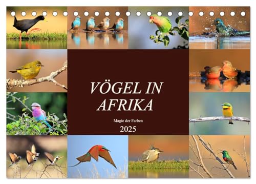 Vögel in Afrika - Magie der Farben (Tischkalender 2025 DIN A5 quer), CALVENDO Monatskalender von CALVENDO