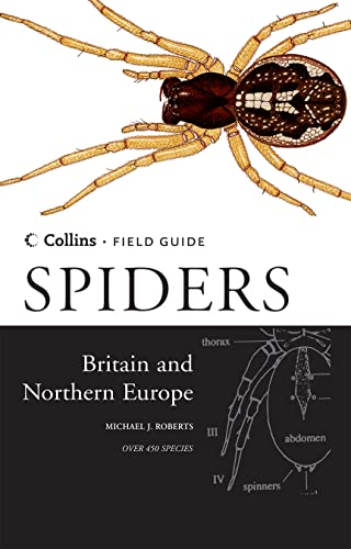 Spiders of Britain and Northern Europe (Collins Field Guide) von Collins
