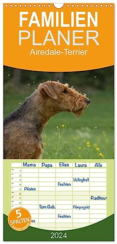 Familienplaner 2024 - Airedale-Terrier, was sonst! mit 5 Spalten (Wandkalender, 21 cm x 45 cm) CALVENDO