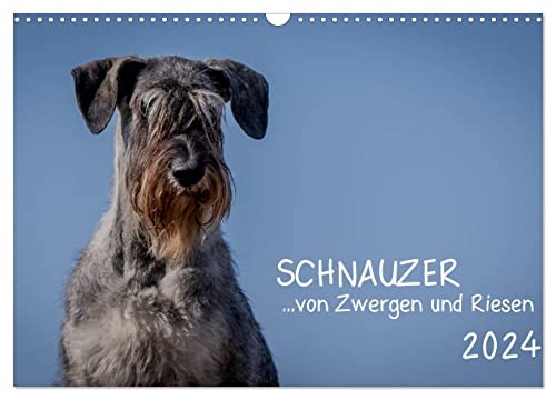 Schnauzer... von Zwergen und Riesen 2024 (Wandkalender 2024 DIN A3 quer), CALVENDO Monatskalender