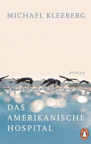 Das amerikanische Hospital: Roman