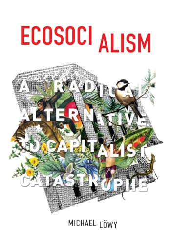 Ecosocialism: A Radical Alternative to Capitalist Catastrophe von Haymarket Books