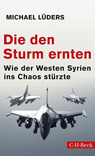 Die den Sturm ernten: Wie der Westen Syrien ins Chaos stürzte (Beck Paperback)