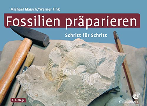 Fossilien präparieren: Schritt für Schritt