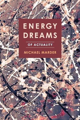 Energy Dreams: Of Actuality von Columbia University Press