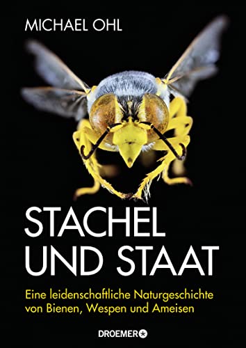 Stachel und Staat: Eine leidenschaftliche Naturgeschichte von Bienen, Wespen und Ameisen