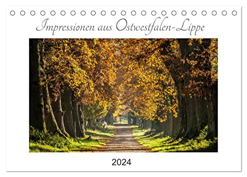 Impressionen aus Ostwestfalen-Lippe (Tischkalender 2024 DIN A5 quer), CALVENDO Monatskalender von CALVENDO