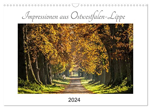 Impressionen aus Ostwestfalen-Lippe (Wandkalender 2024 DIN A3 quer), CALVENDO Monatskalender von CALVENDO
