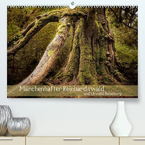 Märchenhafter Reinhardswald und Urwald Sababurg (hochwertiger Premium Wandkalender 2024 DIN A2 quer), Kunstdruck in Hochglanz