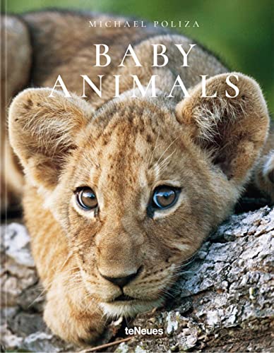 Baby Animals: Die schönsten Fotos afrikanischer Tierkinder von teNeues
