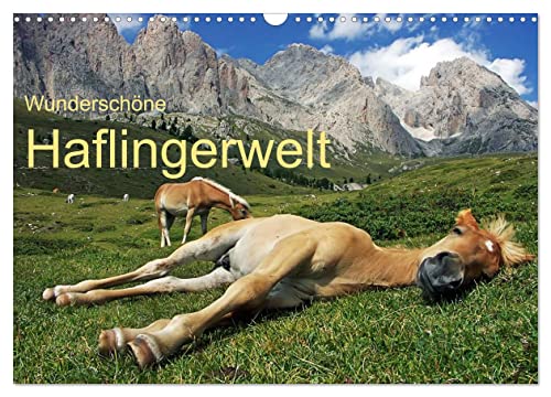 Wunderschöne Haflingerwelt (Wandkalender 2024 DIN A3 quer), CALVENDO Monatskalender von CALVENDO