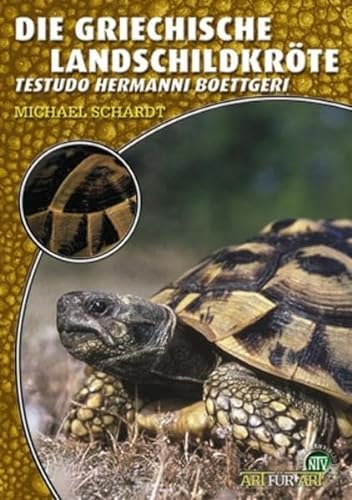 Die Griechische Landschildkröte: Testudo hermanni boettgeri (Buchreihe Art für Art Terraristik) von NTV Natur und Tier-Verlag