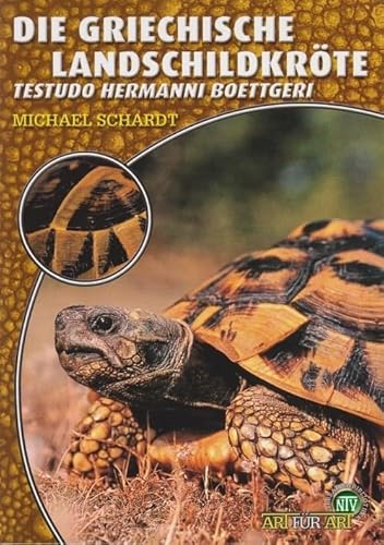 Die Griechische Landschildkröte: Testudo hermanni boettgeri (Buchreihe Art für Art Terraristik) von NTV Natur und Tier-Verlag