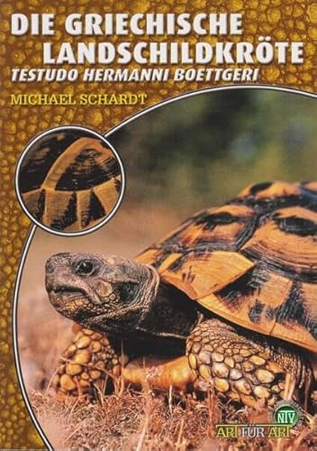 Die Griechische Landschildkröte: Testudo hermanni boettgeri (Buchreihe Art für Art Terraristik)