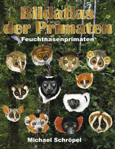 Bildatlas der Primaten: Feuchtnasenprimaten von Books on Demand