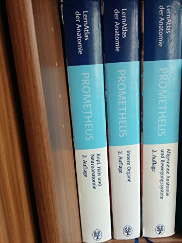 PROMETHEUS Kopf, Hals und Neuroanatomie: LernAtlas Anatomie PROMETHEUS Kopf, Hals und Neuroanatomie: LernAtlas Anatomie