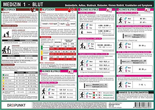 Medizin (1) - Blut: Bestandteile, Aufbau, Blutdruck, Blutzucker, Kleines Blutbild, Krankheiten und Symptome