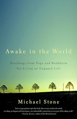 Awake in the World: Teachings from Yoga and Buddhism for Living an Engaged Life von Shambhala