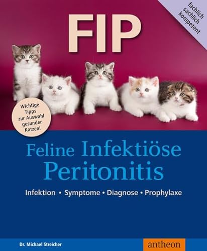 FIP - Feline infektiöse Peritonitis: Infektion - Symptome - Diagnose - Prophylaxe