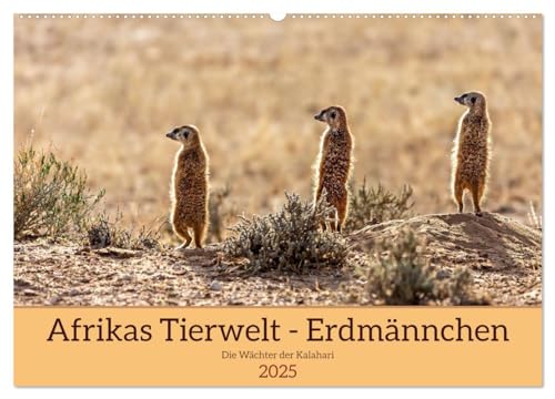 Afrikas Tierwelt - Erdmännchen (Wandkalender 2025 DIN A2 quer), CALVENDO Monatskalender von CALVENDO