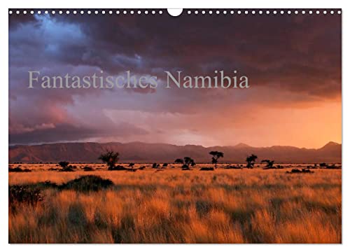 Fantastisches Namibia (Wandkalender 2024 DIN A3 quer), CALVENDO Monatskalender