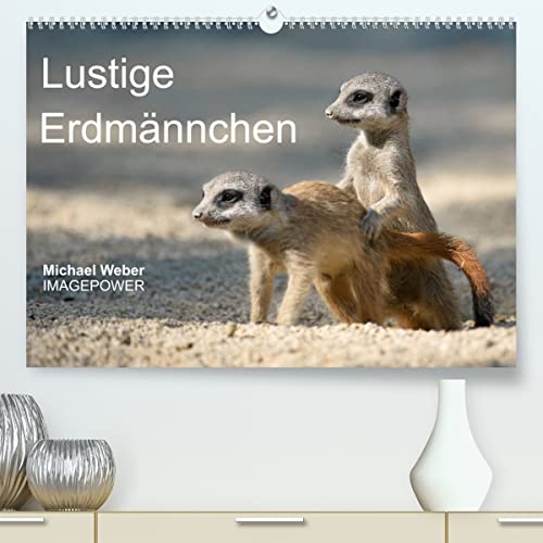 Lustige Erdmännchen (hochwertiger Premium Wandkalender 2024 DIN A2 quer), Kunstdruck in Hochglanz