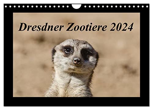 Dresdner Zootiere 2024 (Wandkalender 2024 DIN A4 quer), CALVENDO Monatskalender von CALVENDO