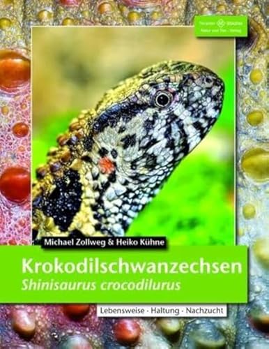 Krokodilschwanzechsen: Shinisaurus crocodilurus