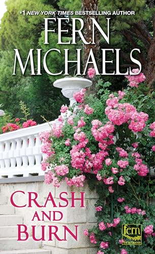 Crash and Burn (Sisterhood, Band 27) von Zebra