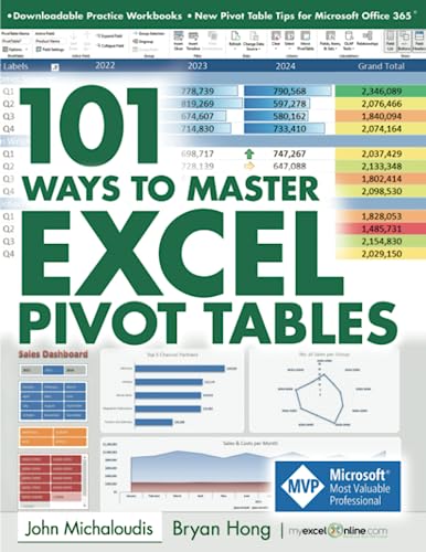 101 Ways to Master Excel Pivot Tables (101 Excel Series, Band 4)