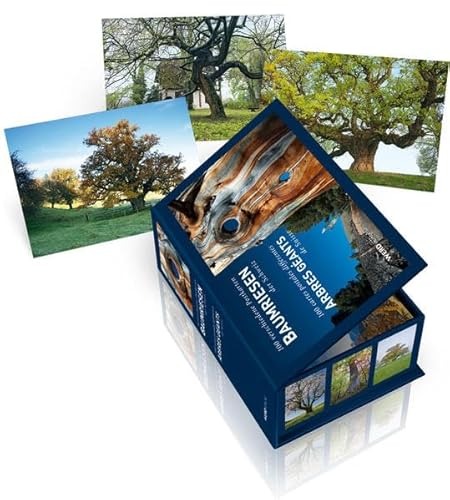 Baumriesen der Schweiz - Postkartenbox: 100 verschiedene Postkarten