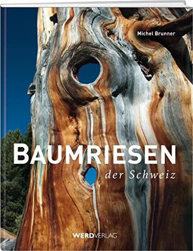 Baumriesen der Schweiz von Werd Weber Verlag AG