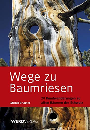 Wege zu Baumriesen: 20 Rundwanderungen zu alten Bäumen der Schweiz von Werd Weber Verlag AG