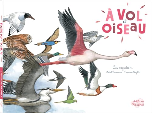 À vol d'oiseau: Les migrations À vol d'oiseau: Les migrations von RICOCHET