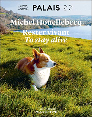 Rester vivant/To stay alive: Catalogue de l'exposition au Palais de Tokyo von FLAMMARION