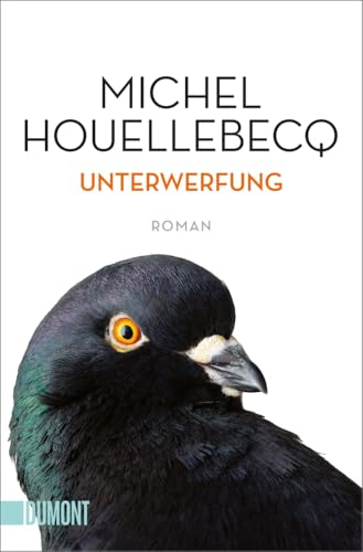 Unterwerfung: Roman (Taschenbücher)