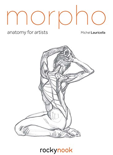 Morpho: Anatomy for Artists