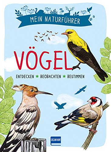 Naturführer - Vögel: Beobachten · verstehen · schützen