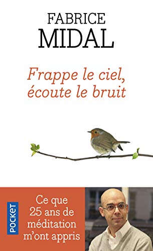 Frappe le ciel, écoute le bruit: Ce que vingt-cinq ans de méditation m'ont appris von Pocket