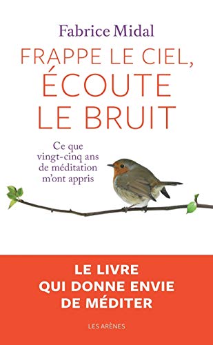 Frappe le ciel, écoute le bruit: Ce que vingt-cinq ans de méditation m'ont appris von ARENES