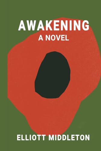 AWAKENING: A NOVEL von Independently published