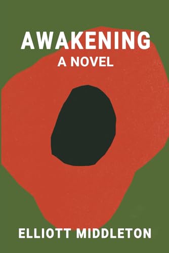 AWAKENING: A NOVEL von Independently published