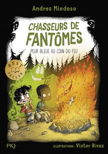 Chasseurs de fantômes - Tome 08 Peur bleue au coin du feu