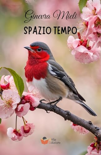 SPAZIO TEMPO von Atile edizioni