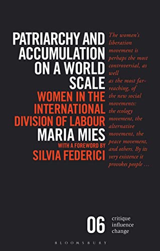 Patriarchy and Accumulation on a World Scale: Women in the International Division of Labour (Critique Influence Change) von Bloomsbury