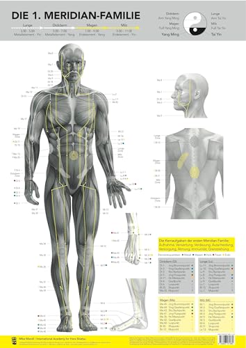 Die 1. Meridian-Familie von Mike Mandl.: Lunge, Dickdarm, Magen, Milz von Bacopa