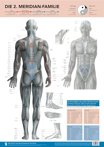 Die 2. Meridian-Familie von Mike Mandl.: Herz, Dünndarm, Blase, Niere