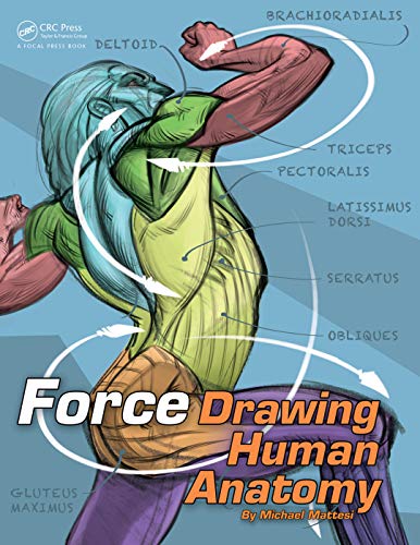 Force Drawing Human Anatomy von CRC Press