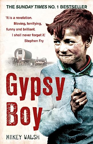 Gypsy Boy: The bestselling memoir of a Romany childhood von Hodder Paperbacks